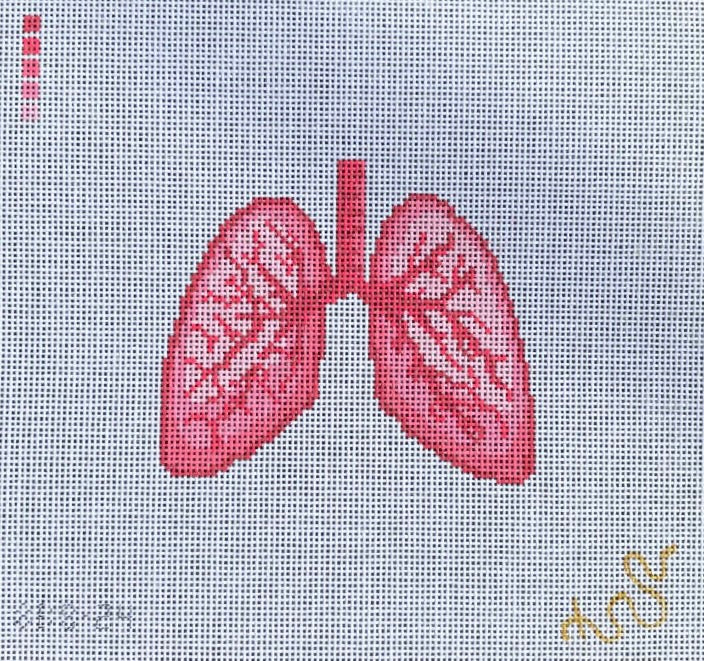 SBS24 Anatomical Lungs