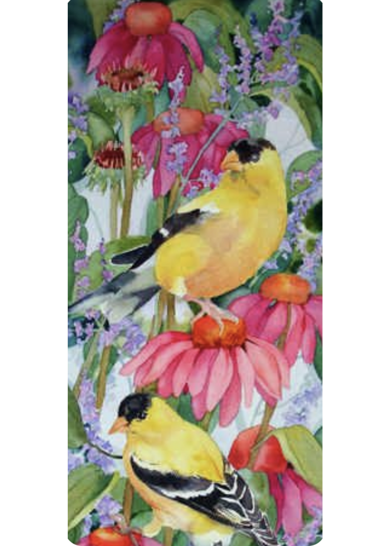 A31  Melody of Goldfinch