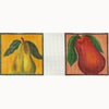 Wg11673 - Pear Coasters