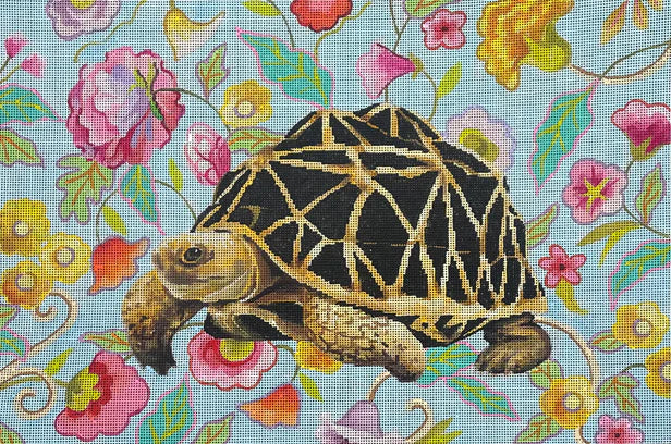 AN527  turtle with floral background