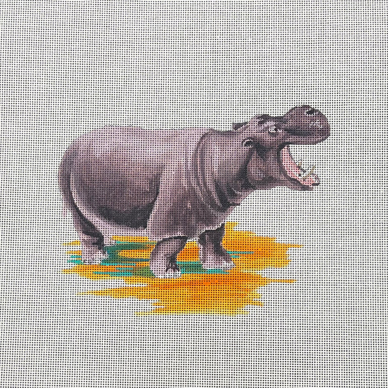 AN492  hippo