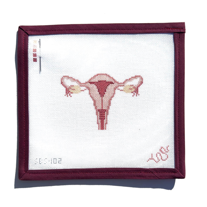 SBS102 Uterus Cross Section