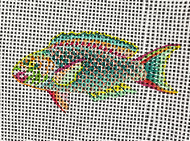 AN529  rainbow fish