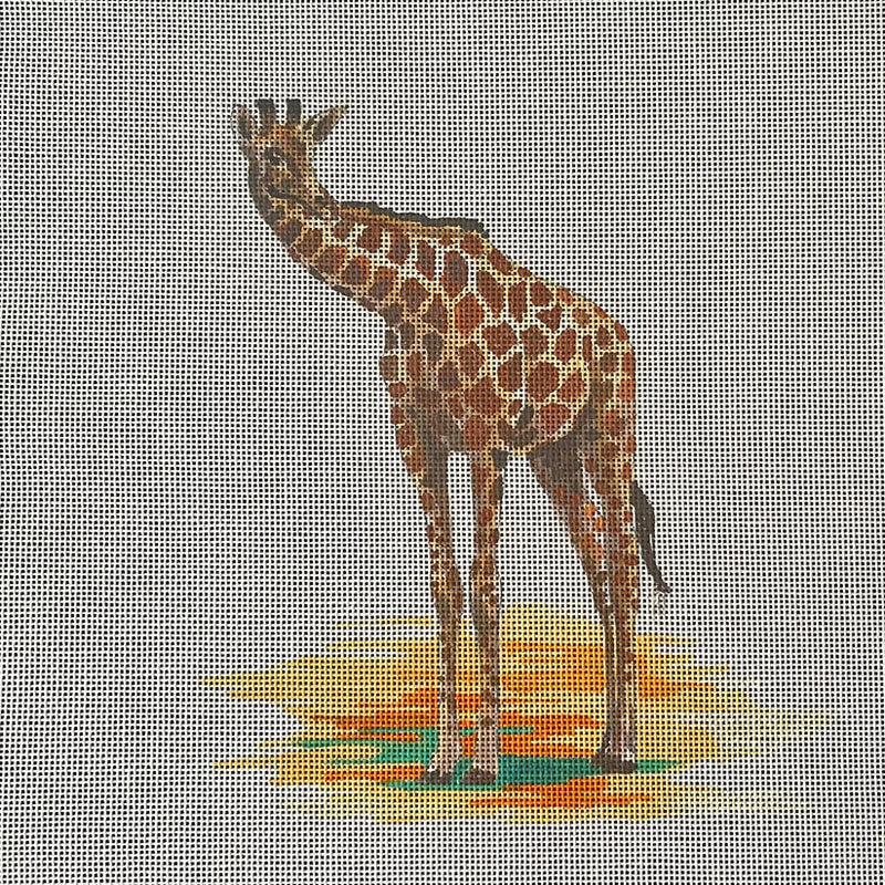 AN493  giraffe