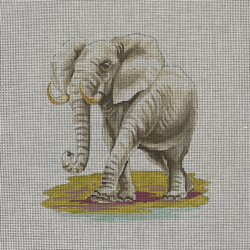 AN487  elephant