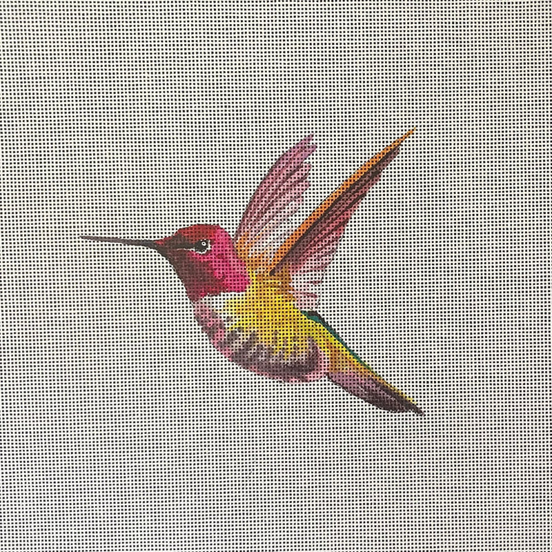 AN509  yellow hummingbird