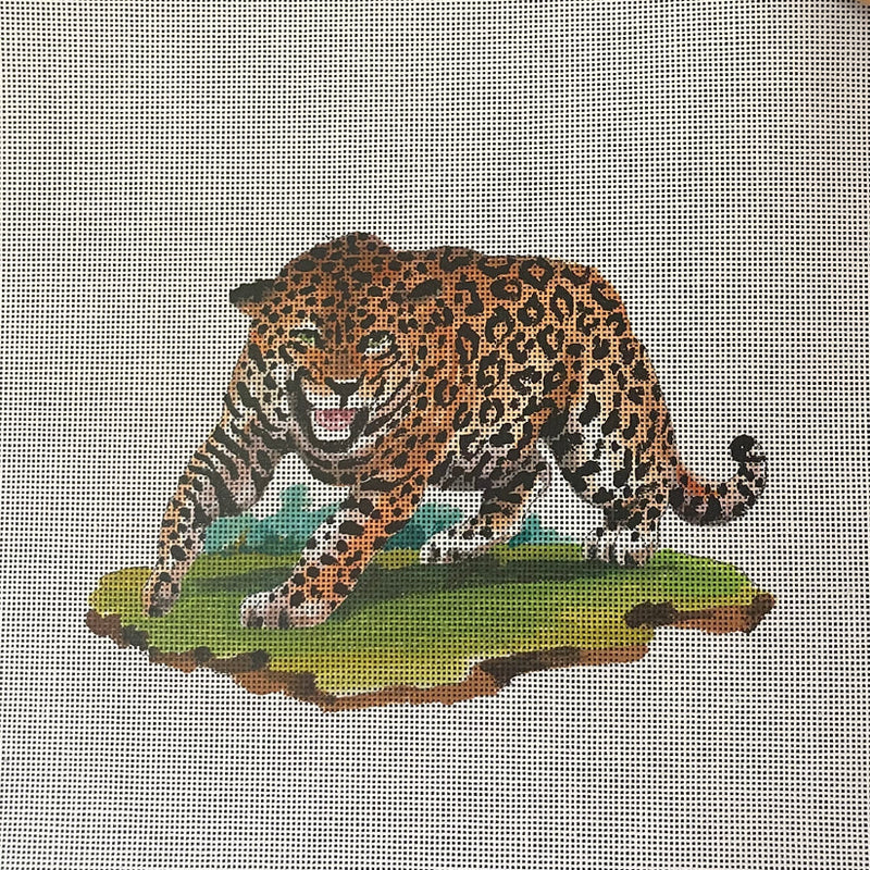 AN505  fierce leopard