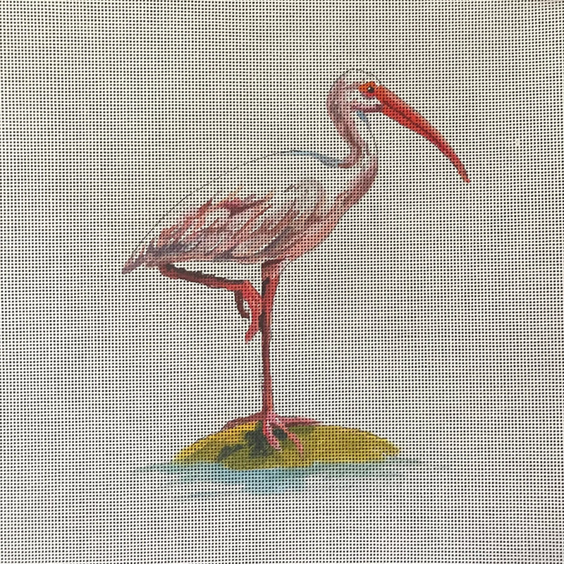 AN501  stork