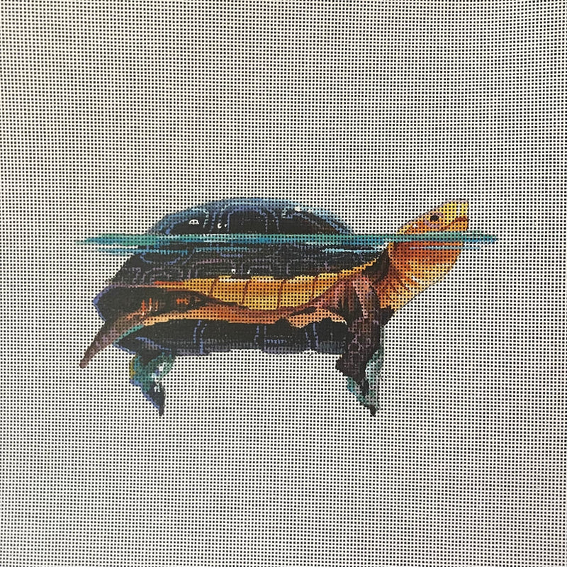 AN494  turtle