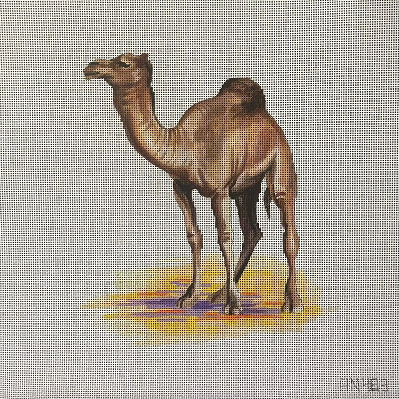 AN483  camel