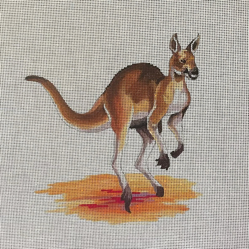 AN481  kangaroo