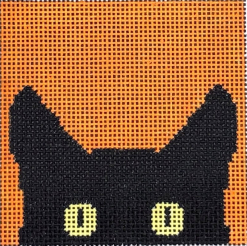 Black Cat on Orange Background C102W3