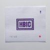 SAS-0123  Mini Purple HBIC