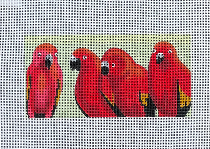 IN623 Red Parrots