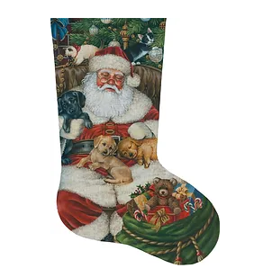 LGDAXS460: Sleeping Santa w/ Puppies and Kittens, stocking