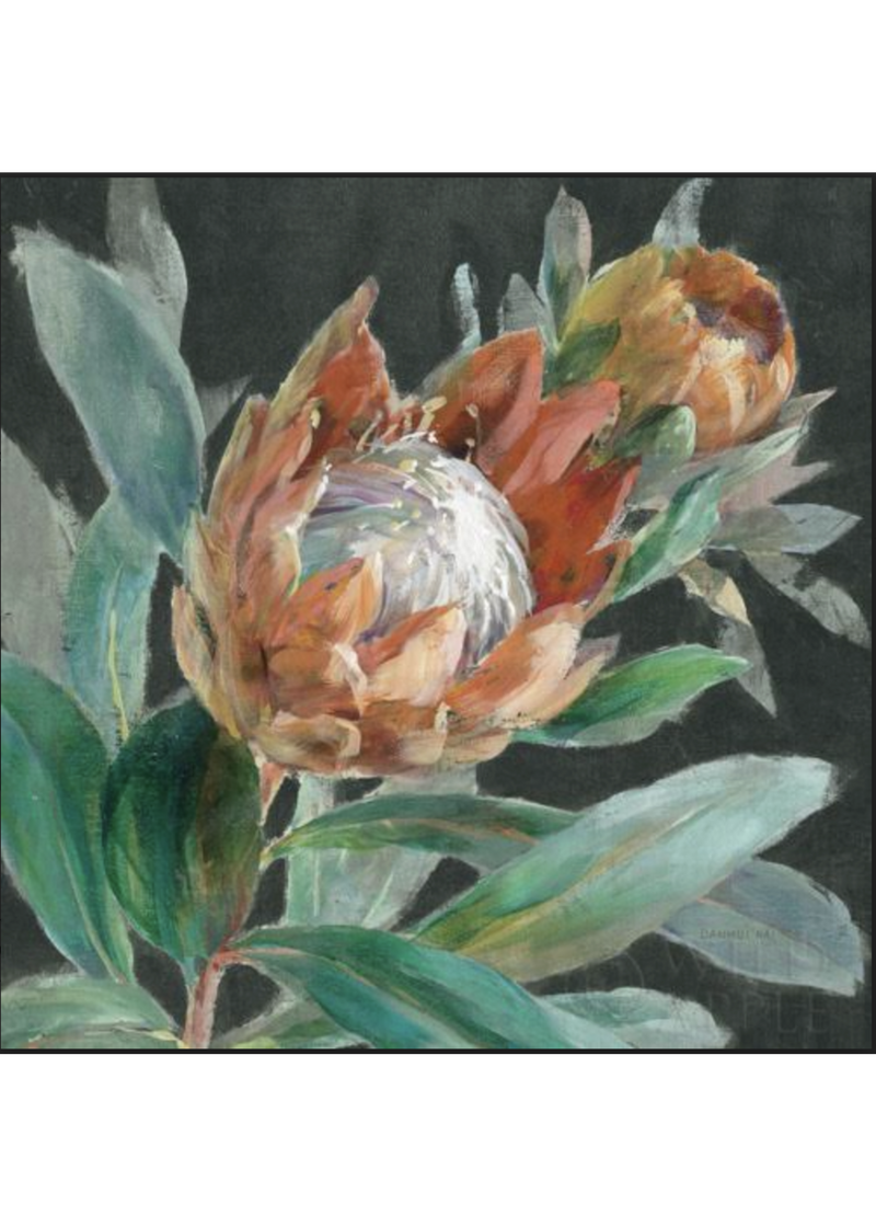 B20  Tropical Protea