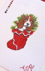 SBS191  Basset in a Stocking