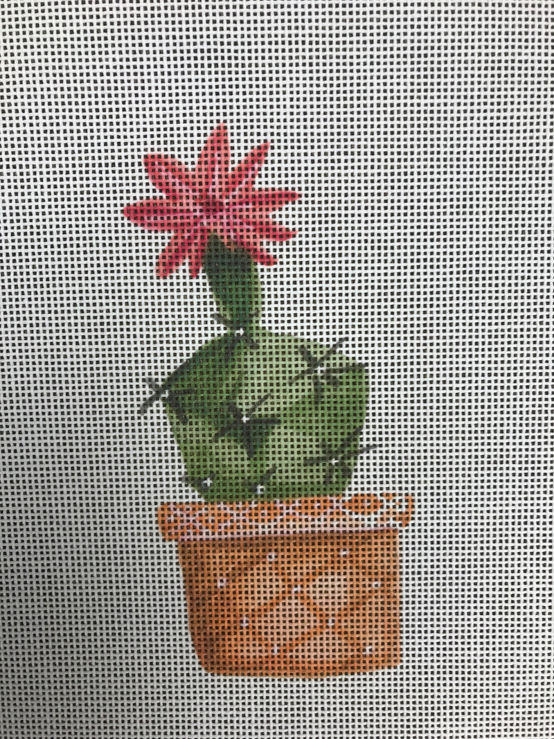 ECT479A Cactus w/flower on top