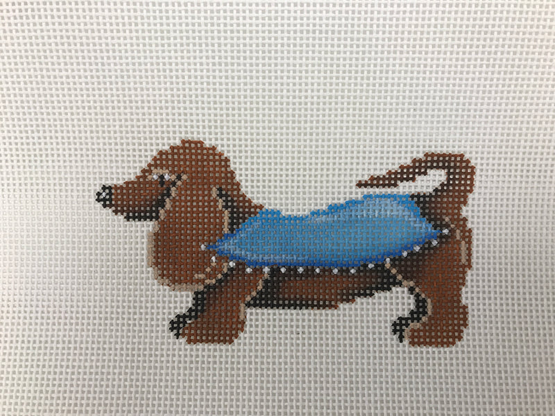 88466-PET-dachshund, blue blanket