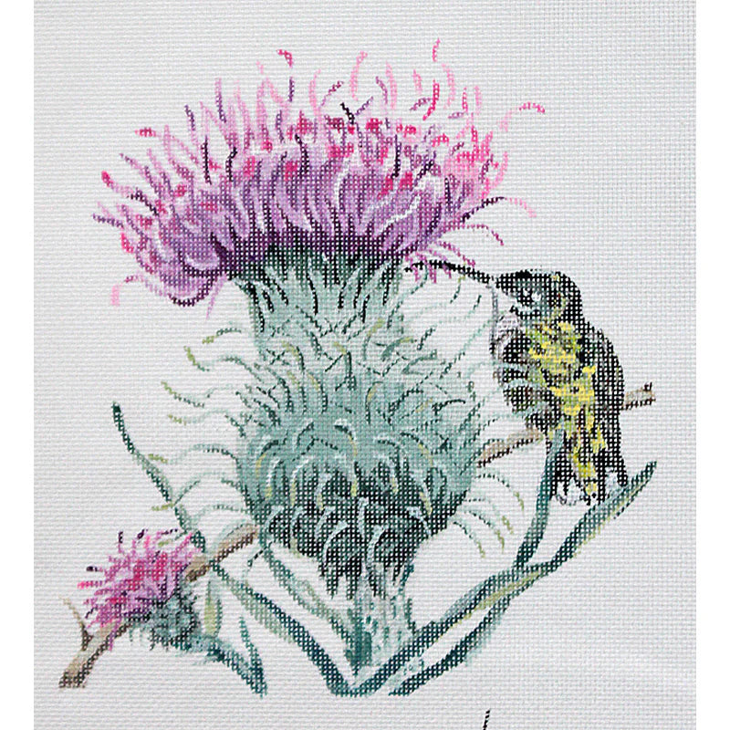 KL 154 Thistle/Hummingbird