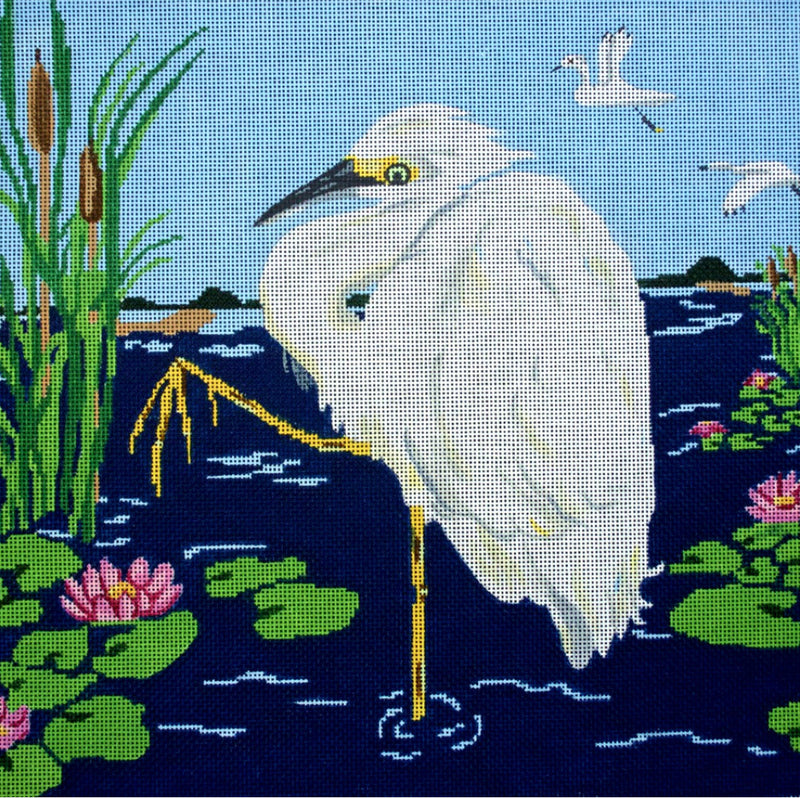 JKNA-032 Snowy Egret
