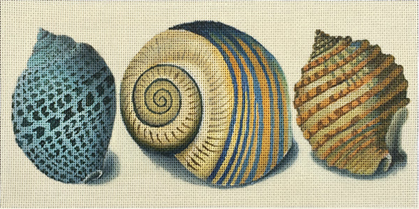 Shells: 3 Shells Blue Spots