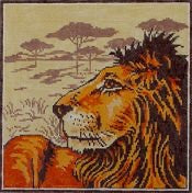 AN172 Graphic Lion