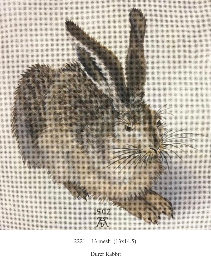 Durer Rabbit