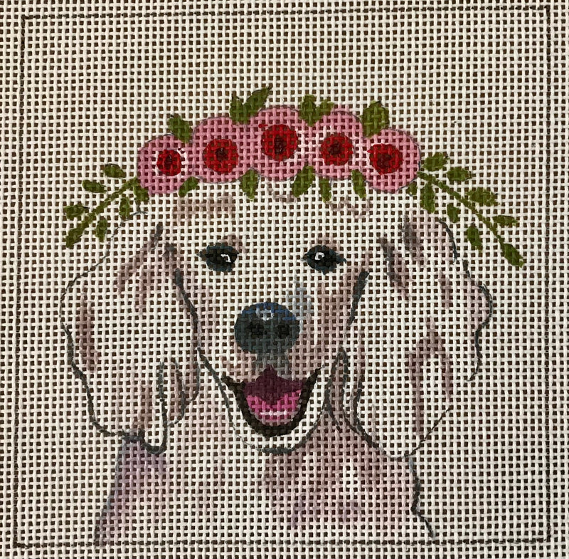 White Poodlewith Floral Crown