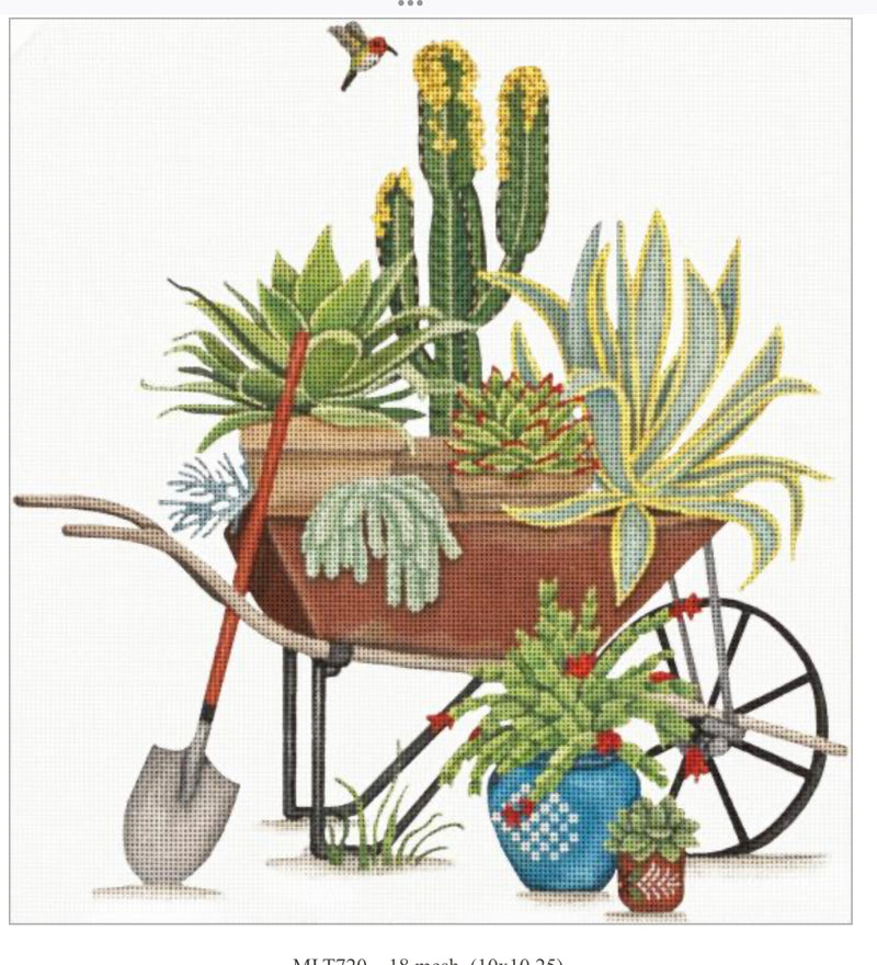 MLT720 Succulent Wheelbarrow