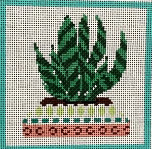 BP-48  - Cactus Series - Succulent