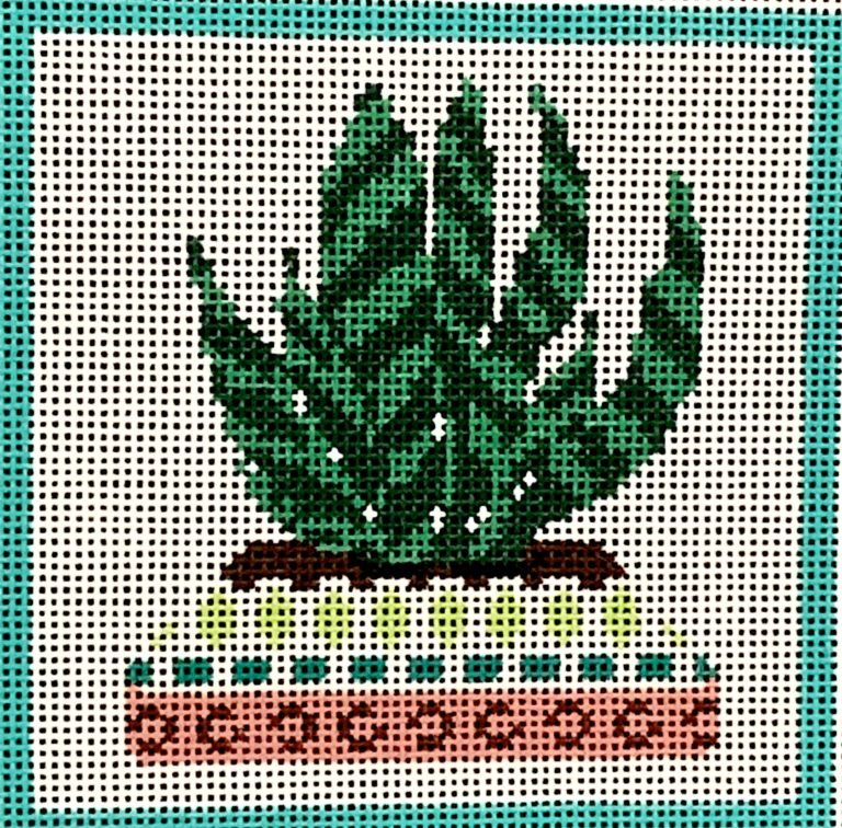 BP-48 Cactus Series - Succulent