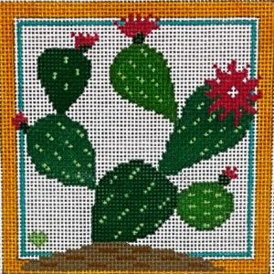 Prickly Pear Cactus