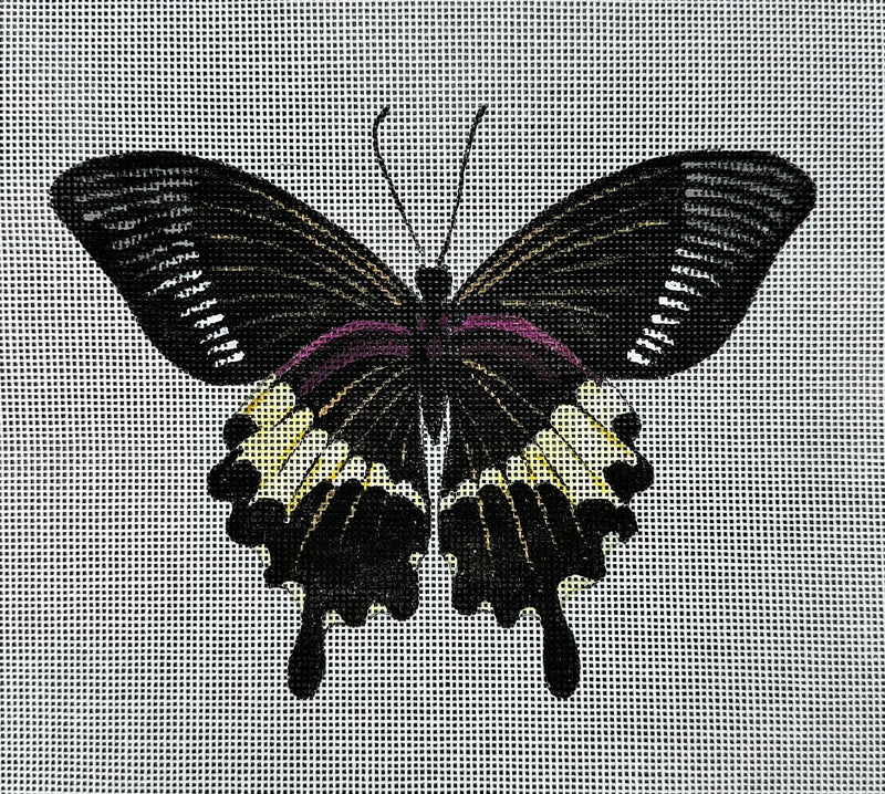 AN449 - Black, Yellow and Magenta Butterfly