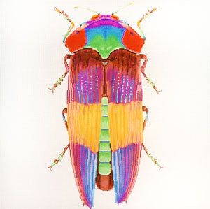 Big Bug Rainbow