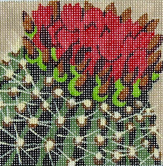GL-115 - Cactus Flower