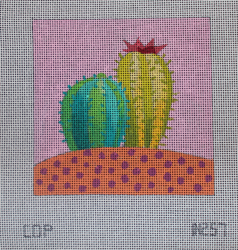 IN257 - cactuses