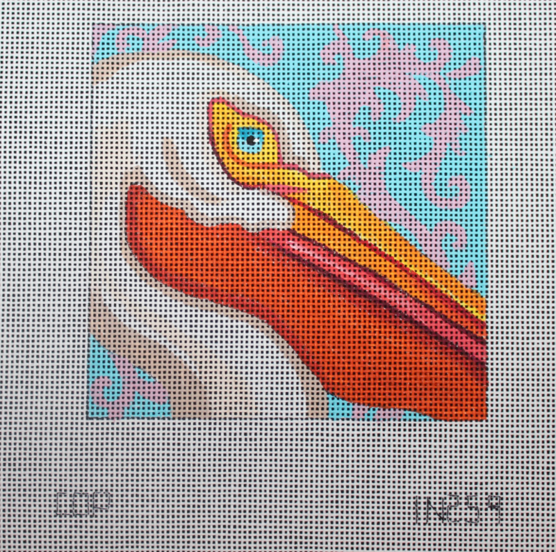 IN259 - pelican