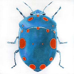 C-591h - Big Bug - Teal w/orange dots