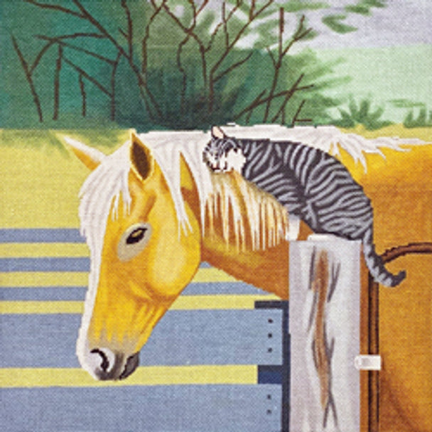 Horse and barn cat 60006