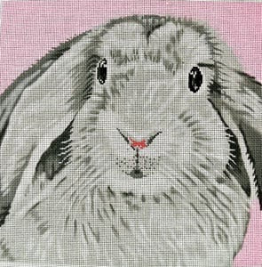 Floppy Ear Bunny on Pink C-450bb